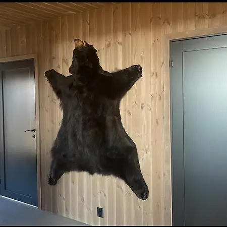 Beitostolen-sorliestolen -nyrenovert 2022 Pa Slettefjell *